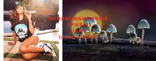 ешки Кукмор
