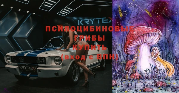 ешки Кукмор