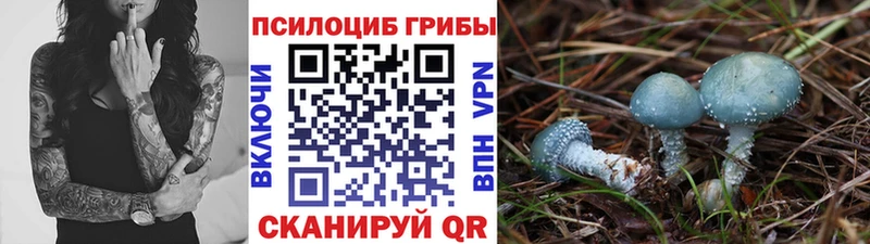 OMG ONION  Тихорецк  Галлюциногенные грибы GOLDEN TEACHER  магазин продажи наркотиков 