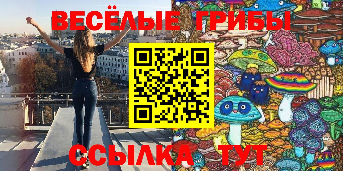 Тихорецк  где купить наркоту  Вход с VPN  Галлюциногенные грибы мухоморы 
